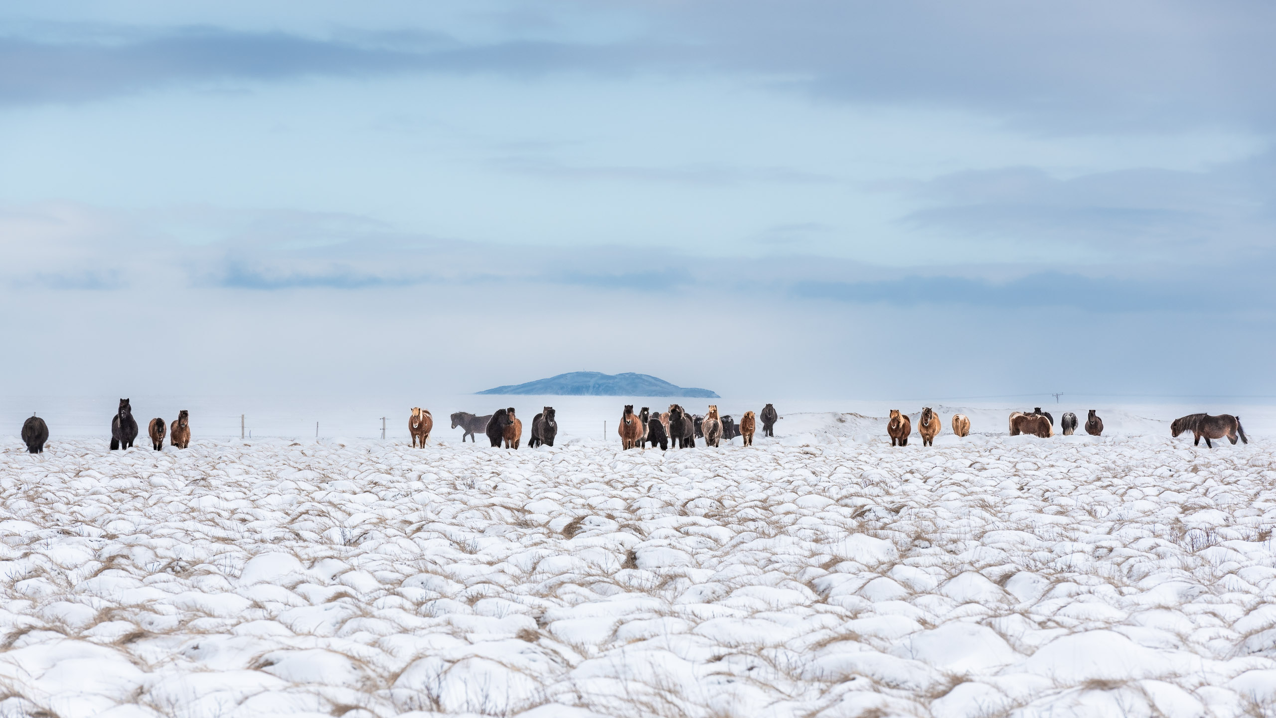 Iceland 0001