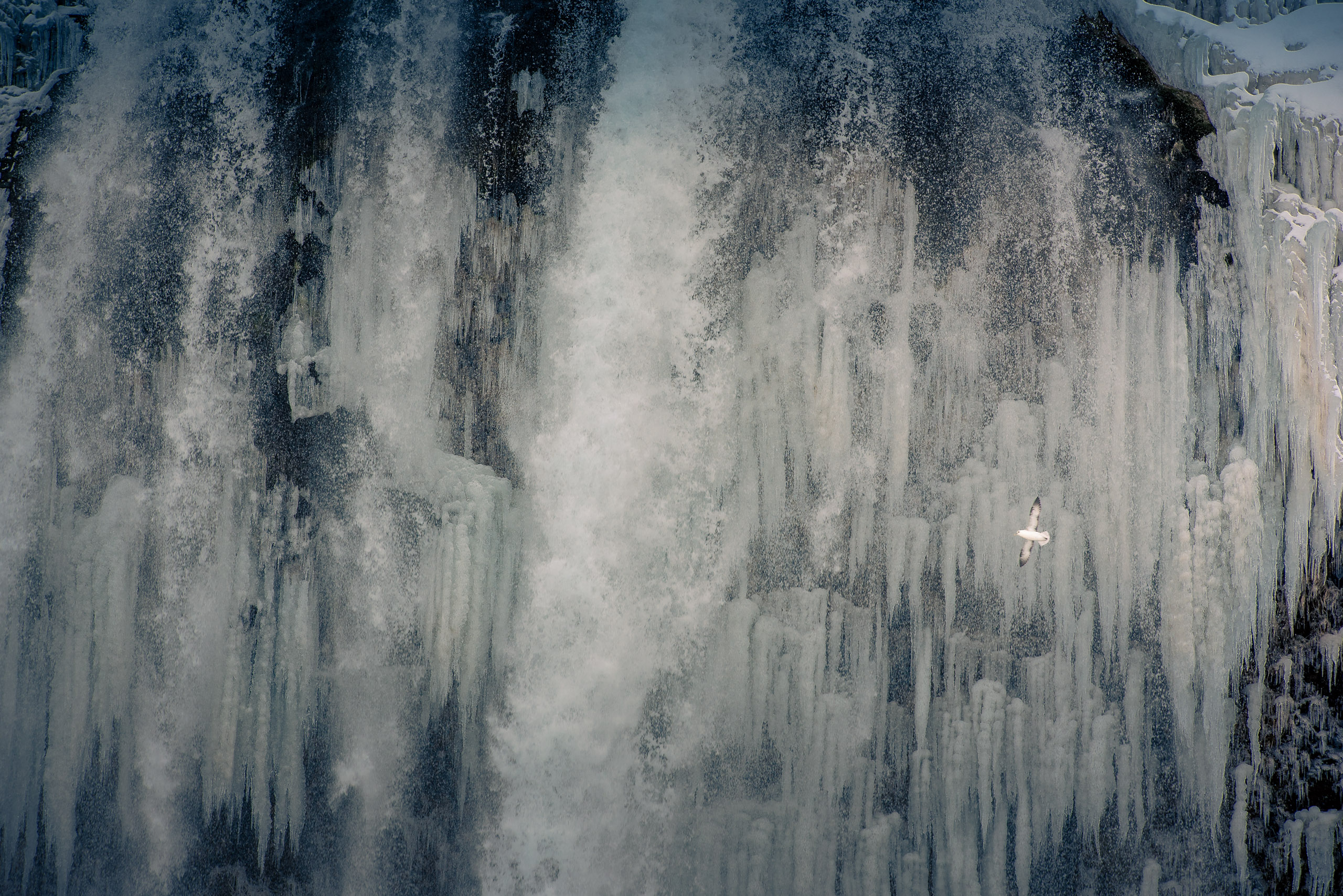 Iceland 0002