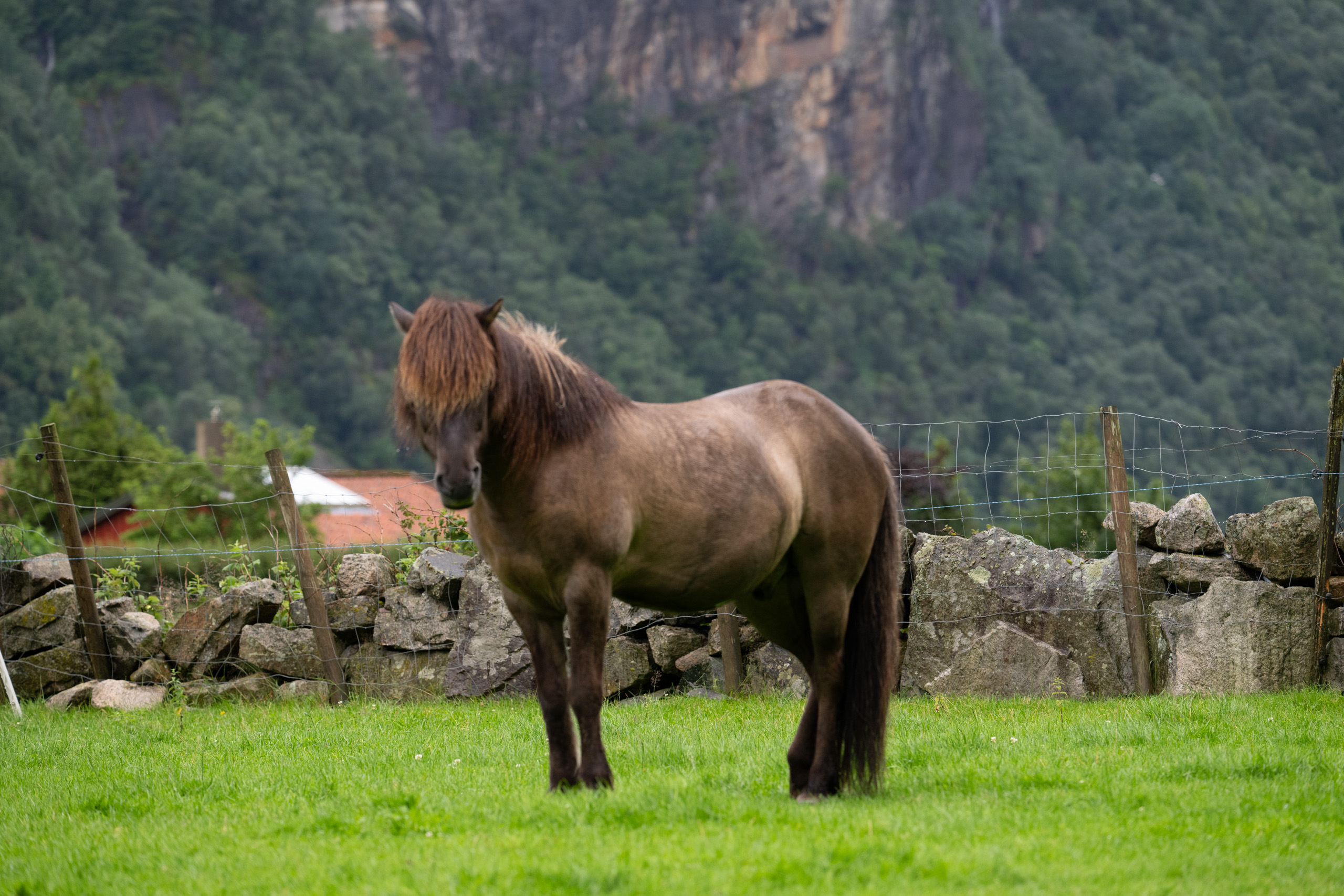 Norway 6