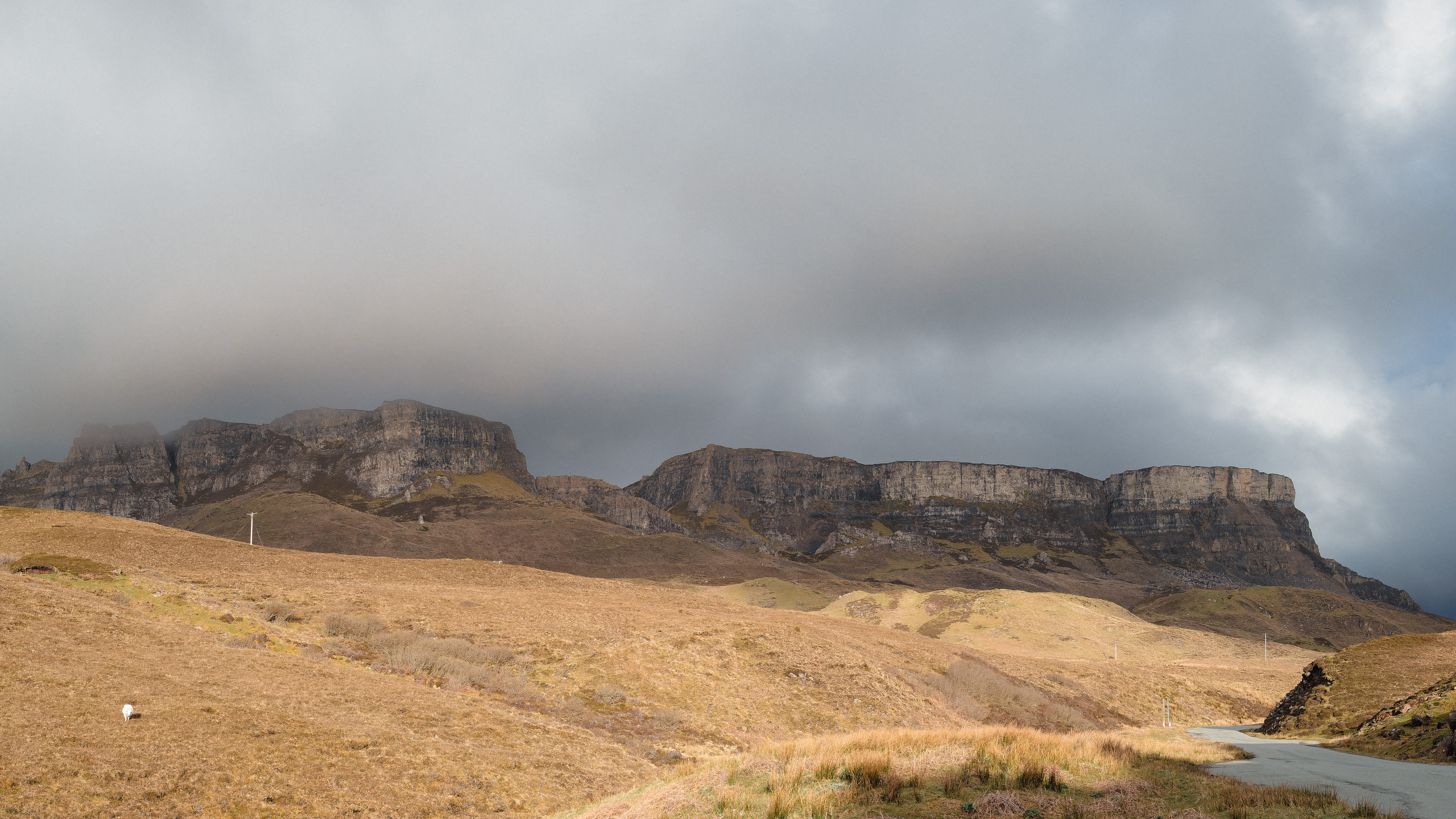Scotland 11