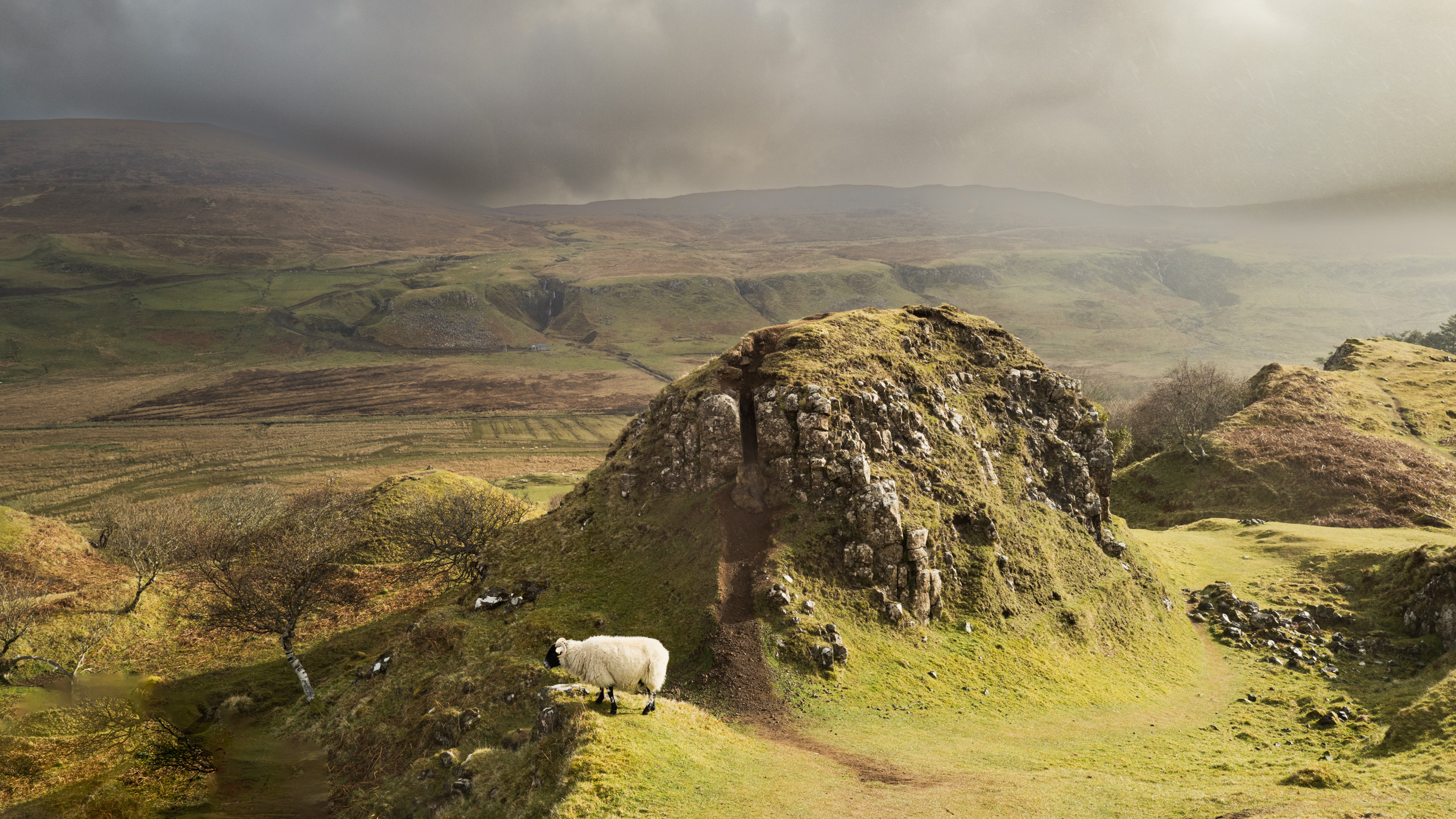 Scotland 13